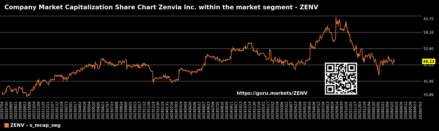 Company Market Capitalization Share Chart Zenvia Inc. within the market segment - ZENV